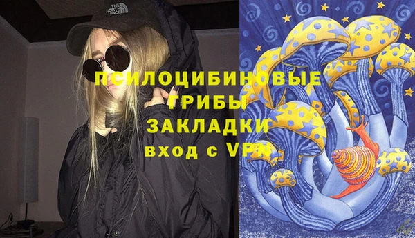 МДПВ Зеленодольск