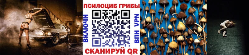 Галлюциногенные грибы мицелий  это состав  Каменск-Шахтинский  купить наркоту  ссылка на мегу  