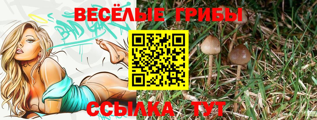 Псилоцибиновые грибы Cubensis  Галлюциногенные грибы Psilocybine cubensis  Каменск-Шахтинский  Вход с VPN 